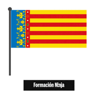 Comunidad Valenciana Flag Sticker by Formación Ninja