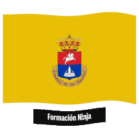 Comunidad Valenciana Flag Sticker by Formación Ninja