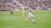 spfc GIF by São Paulo FC