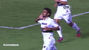 spfc GIF by São Paulo FC