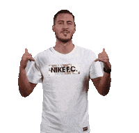 Fifa Football Sticker by FIFA