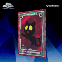 Collect Black Cat GIF by VeeFriends