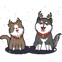 Cat Dog Sticker by The Woof Agency