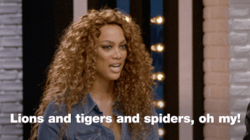 lions and tigets and spiders oh my GIF by America's Next Top Model