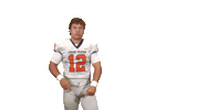 Cnfb26 Sticker by Carson-Newman Athletics
