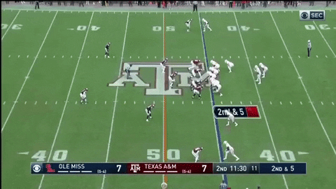 Culture_Coach giphygifmaker aj brown out wide miss at ole miss GIF