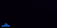 black friday GIF by sparwelt.de