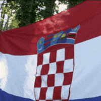 Croatian Flag Croatia GIF by FIA European Rally Championship
