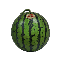 Watermelon スイカ Sticker by suikanosato