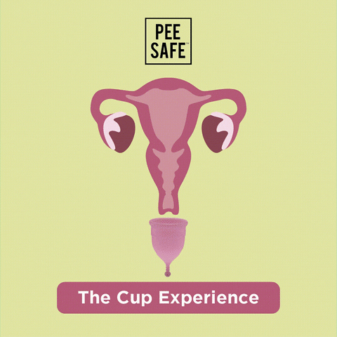 PeeSafe menstruation cups periods period cup GIF