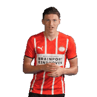 Football Celebrate Sticker by PSV