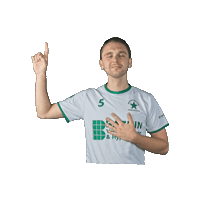 Sticker by Groene ster