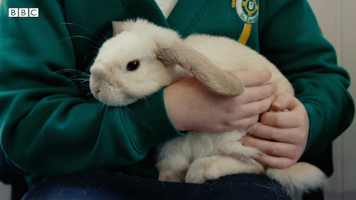 Bbc Two Iplayer GIF by BBC