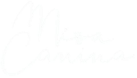 Lettering Typography Sticker