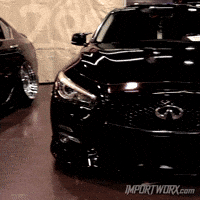 Q Infiniti GIF by ImportWorx