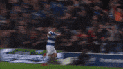 celebrate loftus road GIF by QPR FC