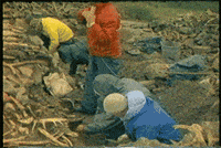 archaeology cmhgif GIF by Canadian Museum of History