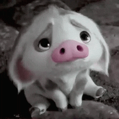 Puppy Eyes GIF