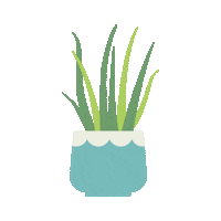 ScatterbrainStudiosLtd plant succulent plant mom plant dad Sticker