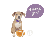 Football Thank You Sticker by Berkeley Humane