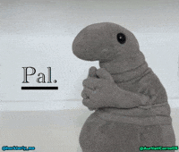 Seal Son GIF