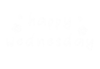 Wednesday Morning Lettering Sticker
