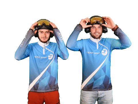 Wings Itv Sticker by Slinger Beplatingssystemen