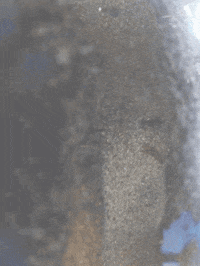Design Colors GIF by jorgemariozuleta
