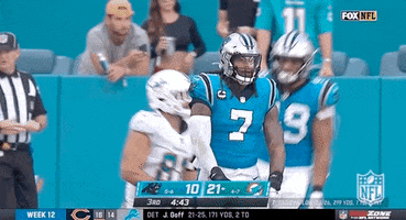 Carolina Panthers Football GIF by NFL