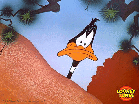 daffy duck wtf GIF by Looney Tunes