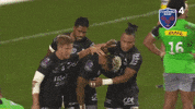 fc grenoble congratulations GIF by FCG Rugby