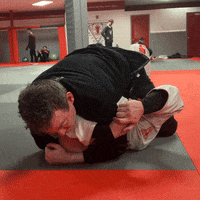 Ufc Grappling GIF