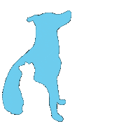 Paws Adopt Sticker by PhillyPAWS