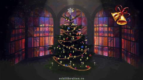Merry Christmas GIF by echilibrultau