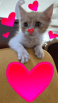 I Love You Kiss GIF
