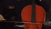 Countdown To Christmas GIF by Hallmark Channel