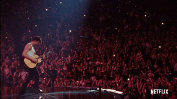Shawn Mendes GIF by NETFLIX