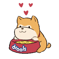 DroolsIn doggo dog food dogfood petfood Sticker