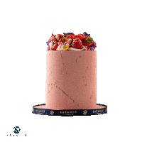 sarahluconfections strawberry strawberry cake pink cake strawberry fields Sticker