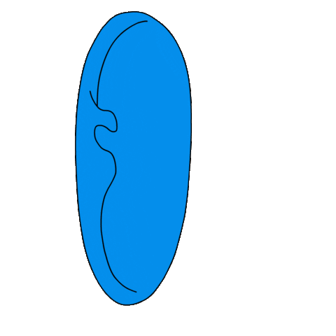 abixacipismoreira giphyupload animation cartoon hand Sticker