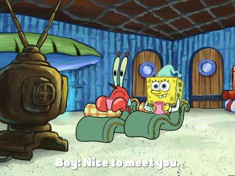 season 6 episode 10 GIF by SpongeBob SquarePants