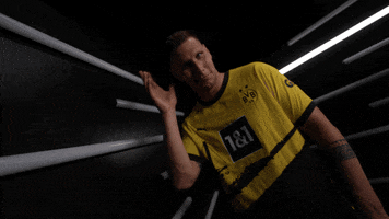 Suele Germany GIF by Bundesliga
