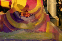 nick cummins rose GIF by The Bachelor Australia