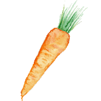 Food Vegetables Sticker