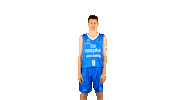 Liga Endesa Basketball Sticker by ACB