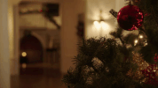 christmas tree GIF by Hallmark Channel