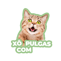 cevabrasil gatos pulgas carrapatos vectra Sticker