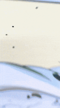 Marvel Avengers GIF by Youtooz