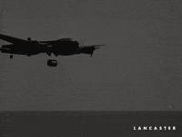 Flying War GIF by Madman Films