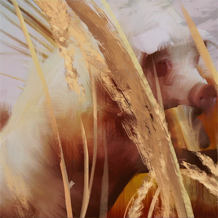 cbs all access art GIF by CBS